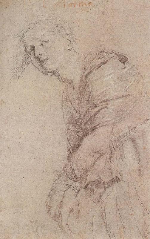 Peter Paul Rubens Sketch of Gedelinxidao France oil painting art